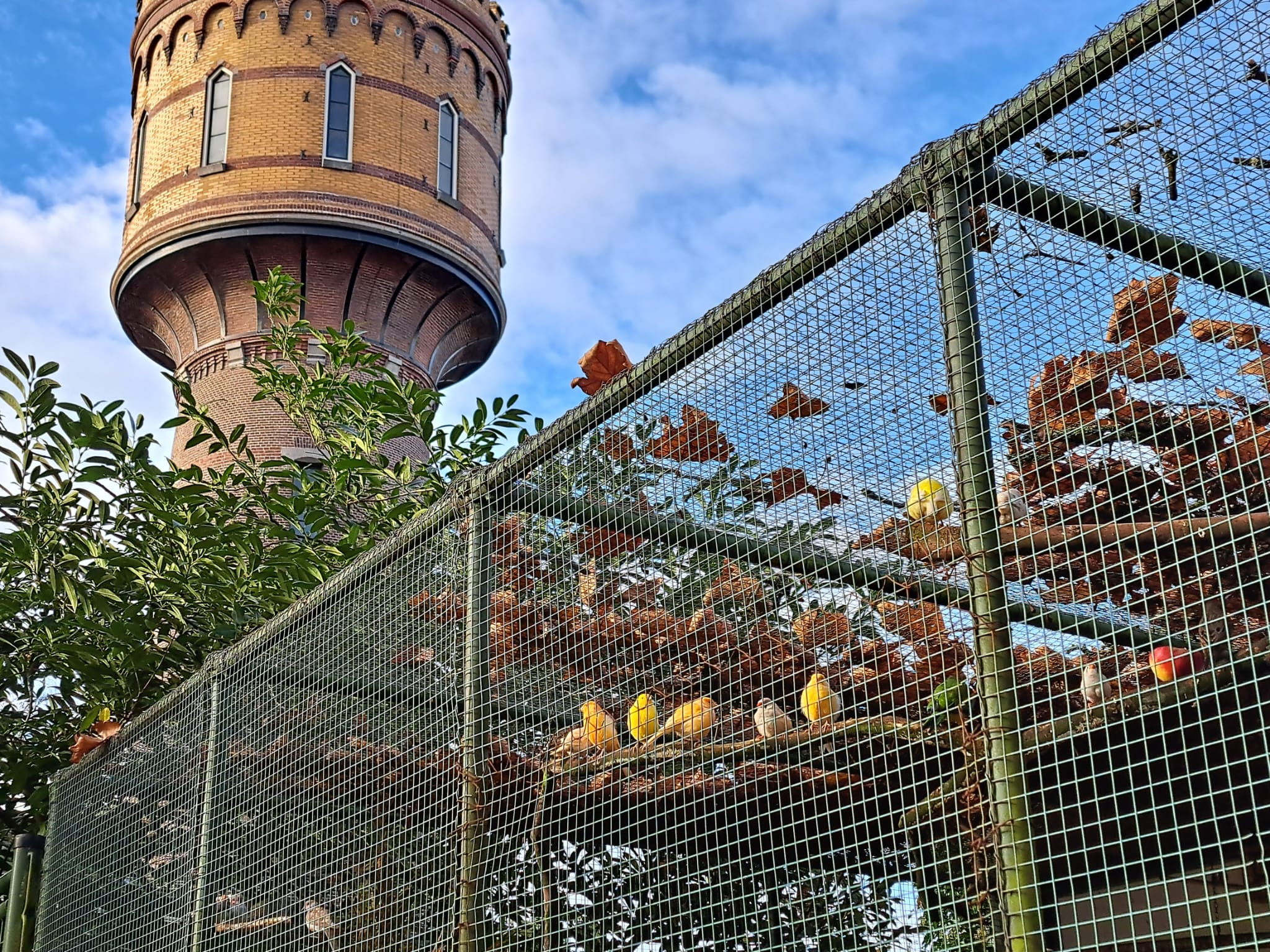 Fiet fieuw! Dans mee voor de vogels van de Stadsvolière tijdens dit benefietconcert