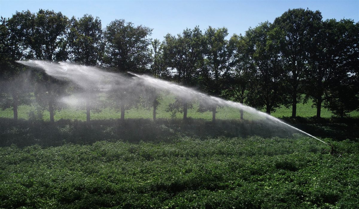 Hoe kan dat: in Rokkeveen is het warmer dan in Buytenwegh en de Leyens