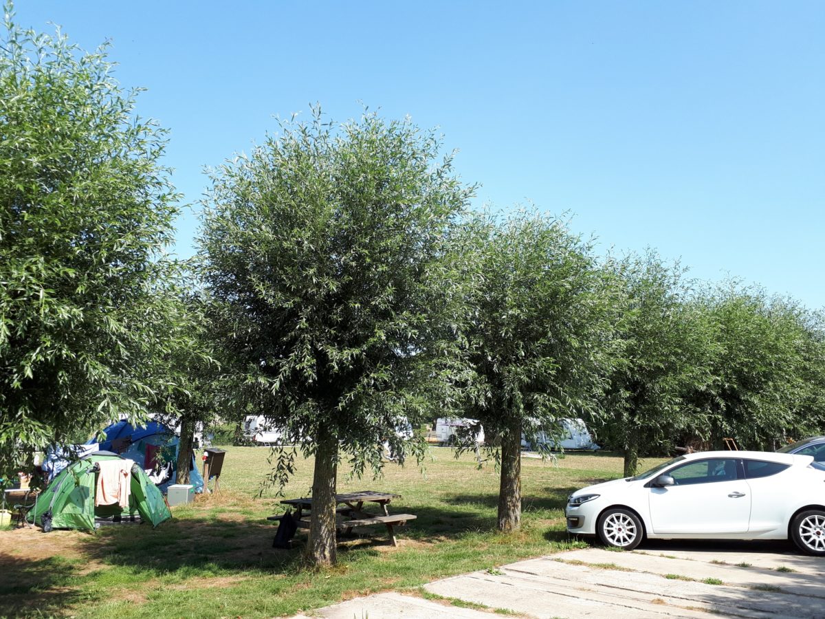 Camping De Drie Morgen Zoetermeer