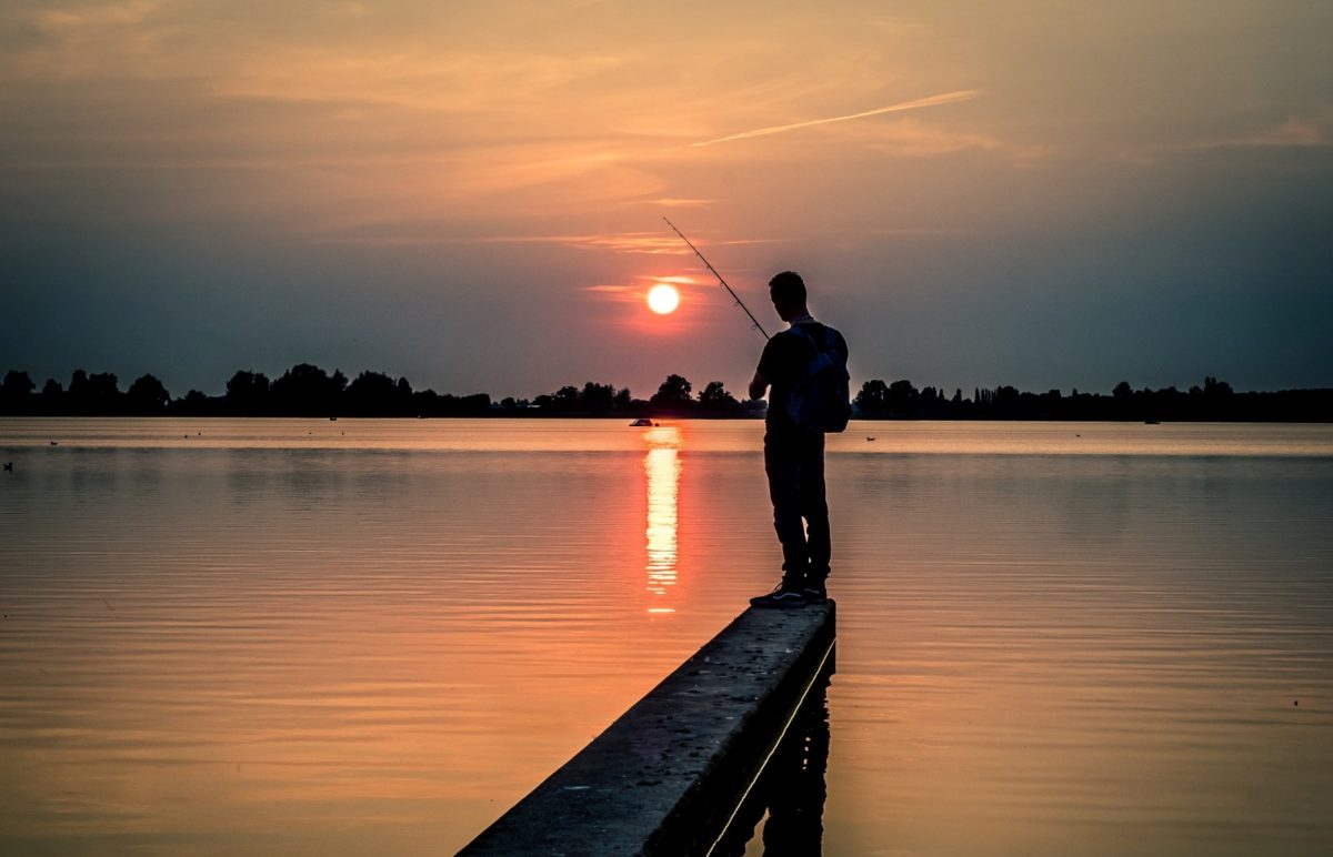 Zoetermeerse Plas
