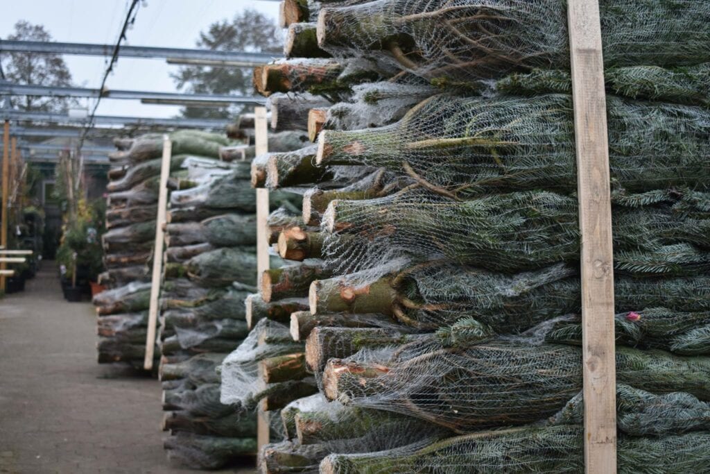 Kerstboom Zoetermeer