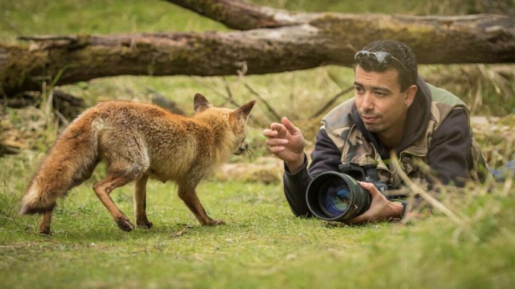 Natuurfotograaf Sander "Die vos kwam steeds dichterbij" indebuurt