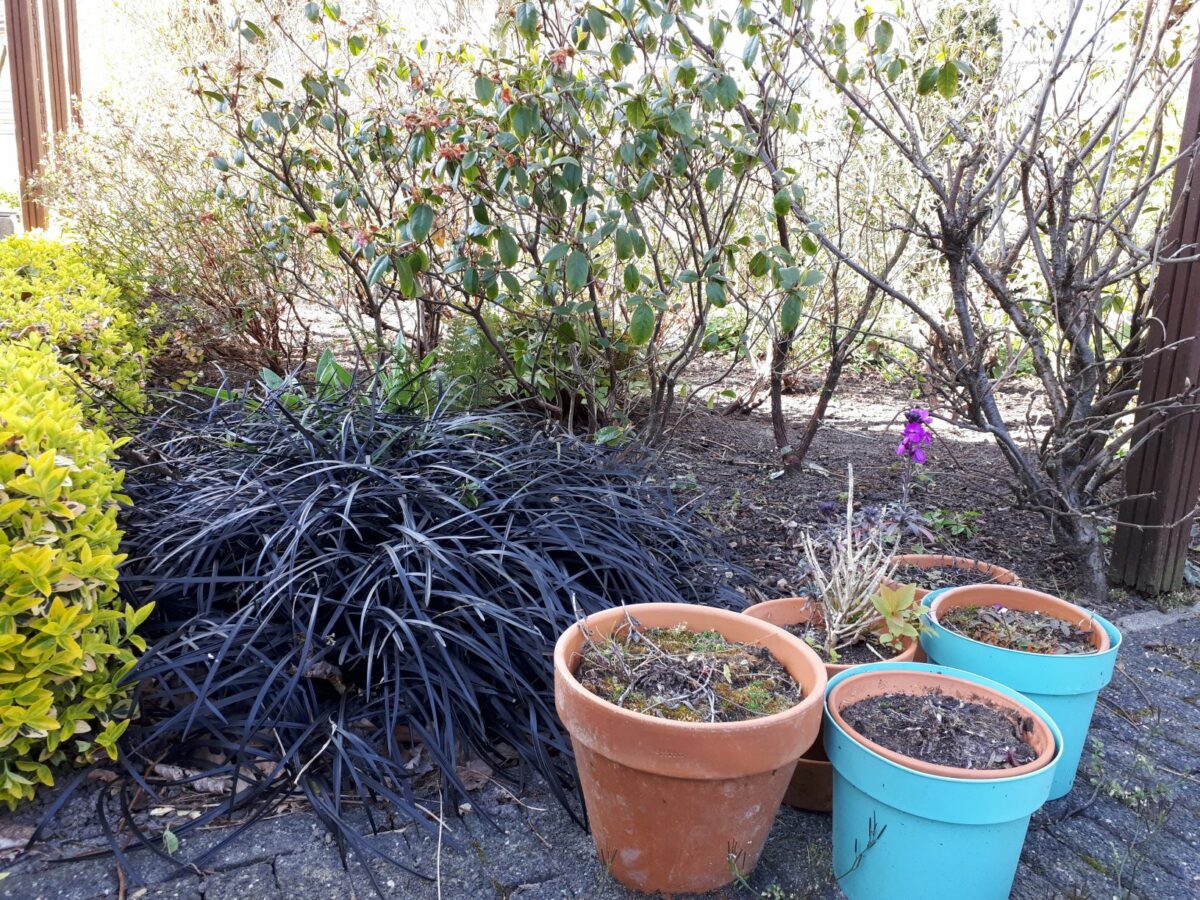 Werken in de tuin Zoetermeer