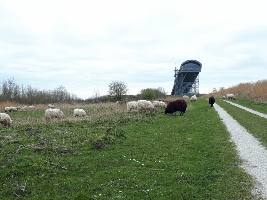 Buytenpark Zoetermeer