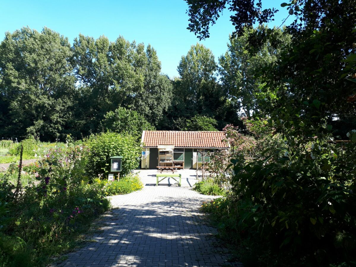 Wijktuin Zegwaartseweg