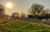 Wandelen Zoetermeer