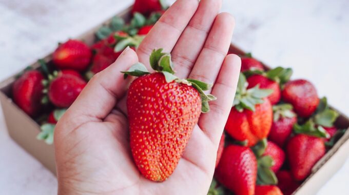 Aardbeien Zoetermeer