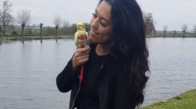 Angelique en valkparkiet Pikachu