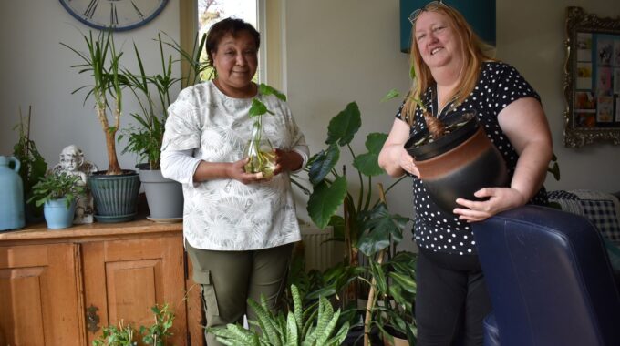 Plantenasiel Zoetermeer