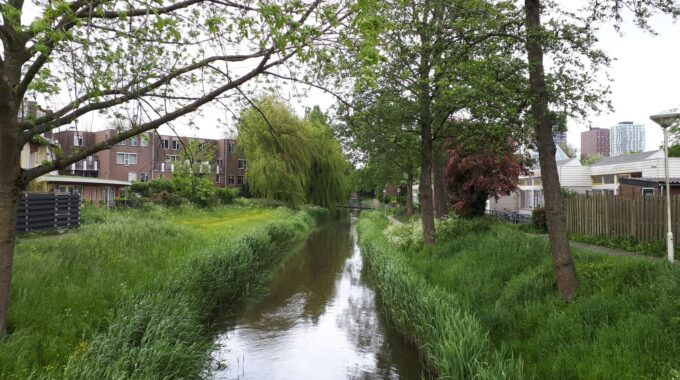 Buytenwegh Zoetermeer