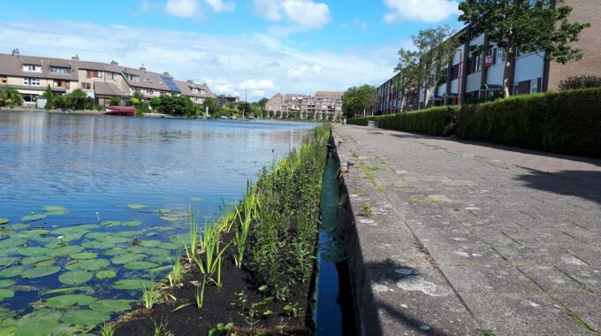 Broekwegwetering Zoetermeer