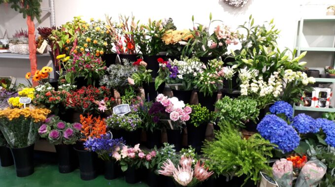 Brady's Bloemenhoek Zoetermeer