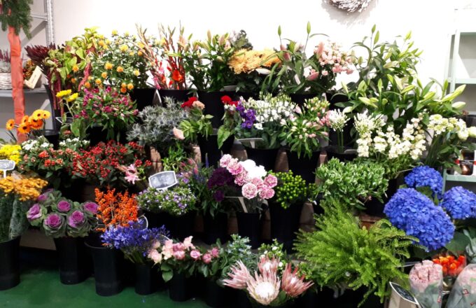 Brady's Bloemenhoek Zoetermeer