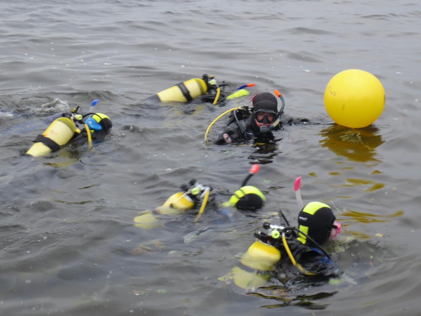 Jurry de Vries Diving
