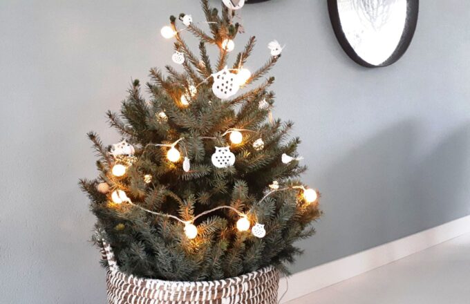 Kerstboom Zoetermeer