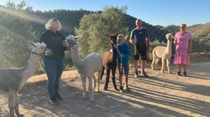 Familie Bisschops Het Roer Om