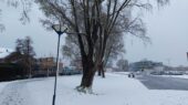 Sneeuw Zoetermeer