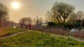 Buytenpark Zoetermeer