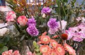 Bloemen Zoetermeer