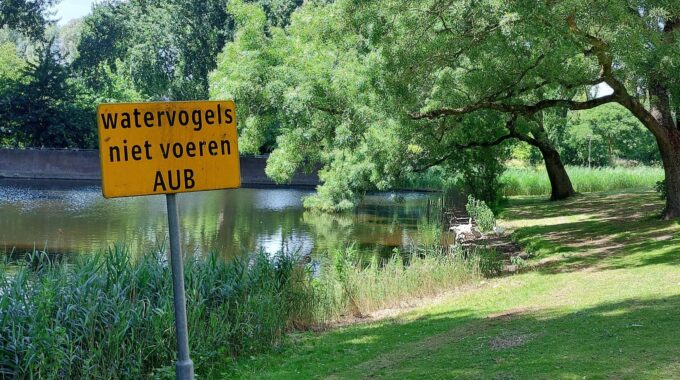 Eenden voeren Zoetermeer