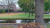 Herfst Zoetermeer