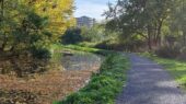 Herfst Zoetermeer