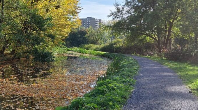 Herfst Zoetermeer