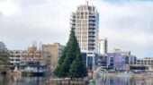 Kerstboom Zoetermeer