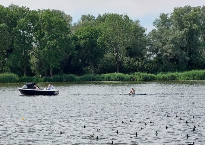 Bootje varen Zoetermeer