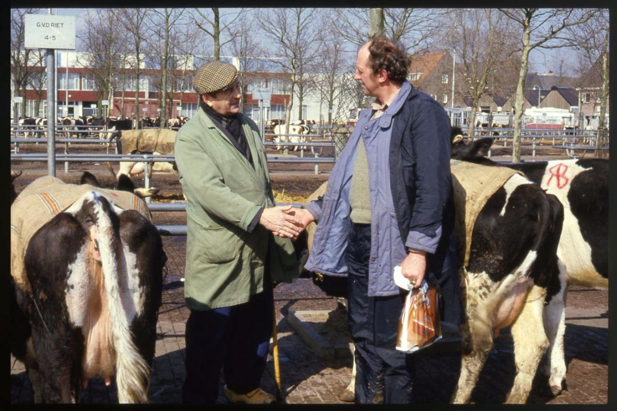 handjeklap-zwolse-veemarkt