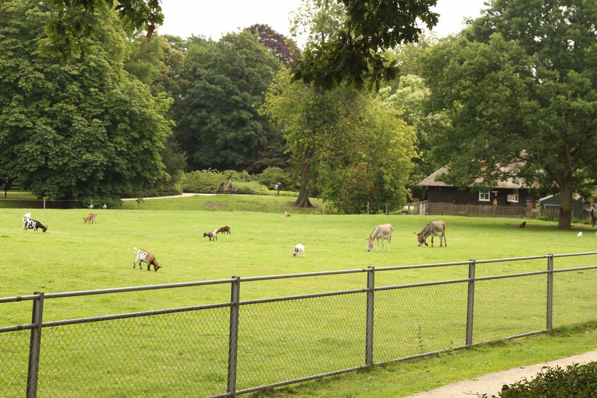 eekhout-zwolle