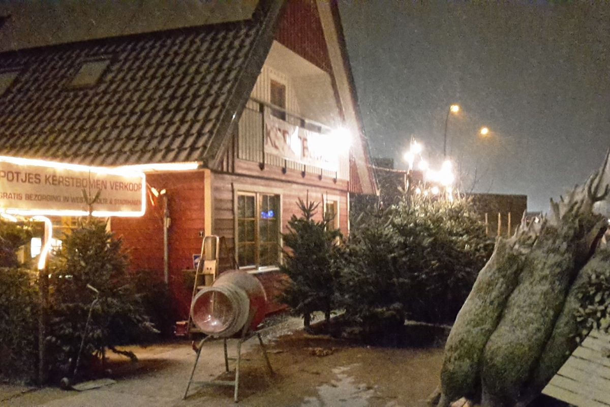 Potjes kerstbomen verkoop Westenholte