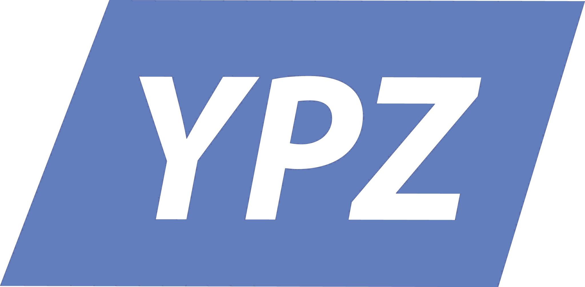 Young Professionals Zwolle indebuurt Zwolle