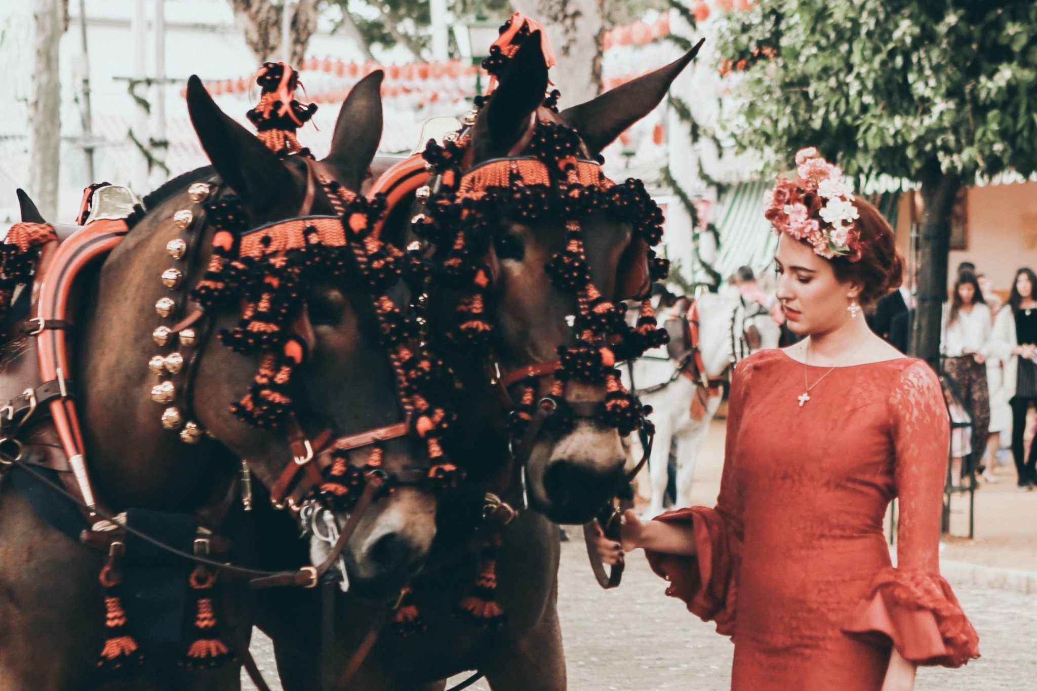 Tapas Bar La Bodega indebuurt Zwolle