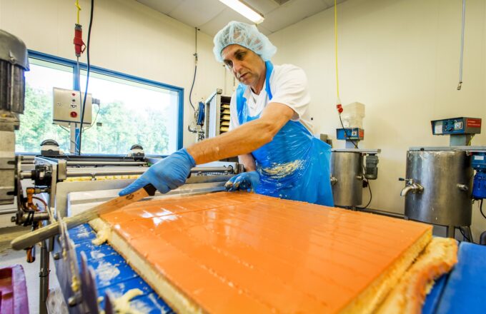 Oranje tompoucen
