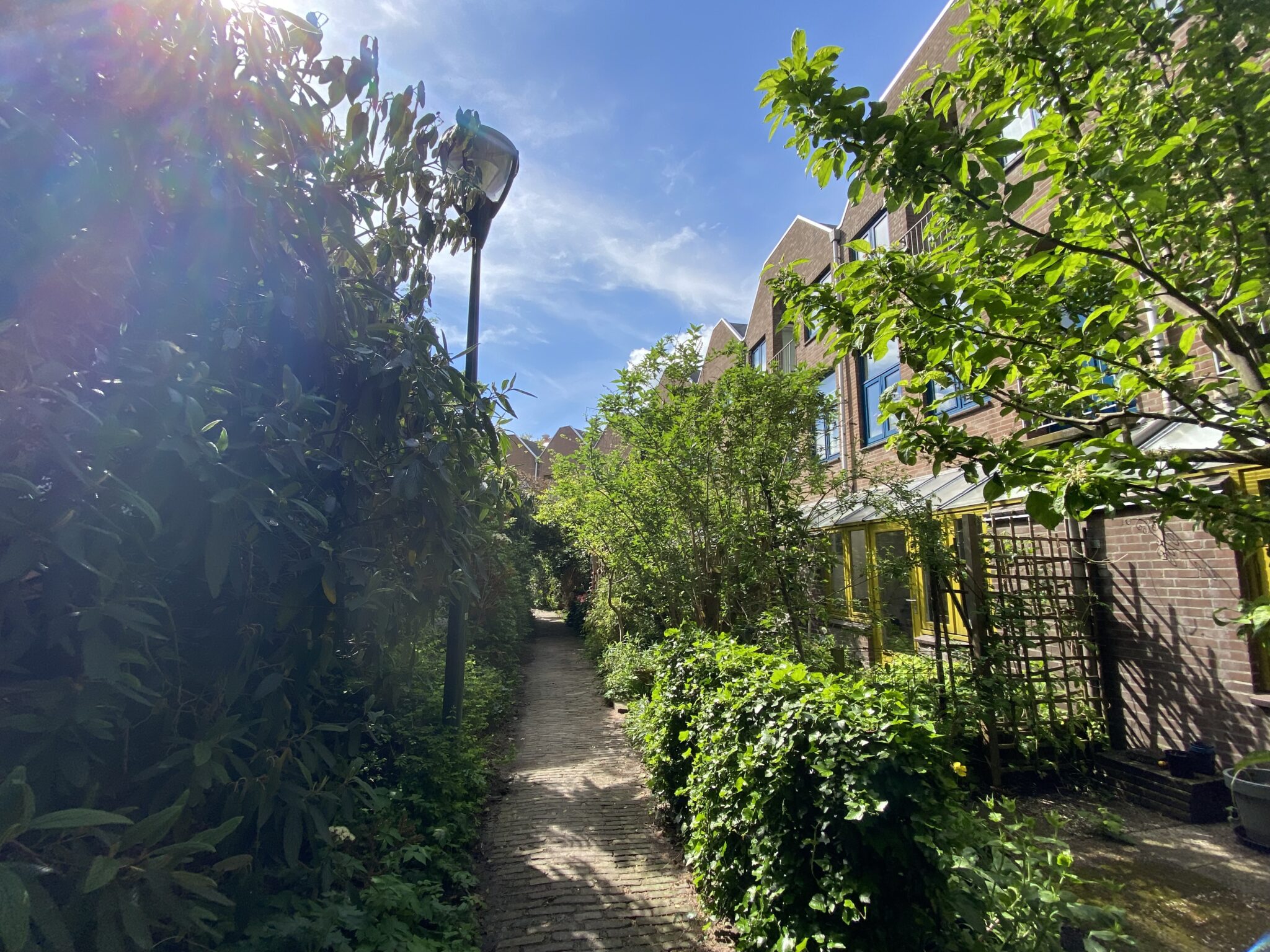 Bitterstraat Zwolle