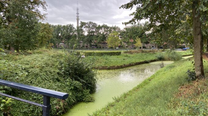 eendenkroos Park Eekhout Zwolle