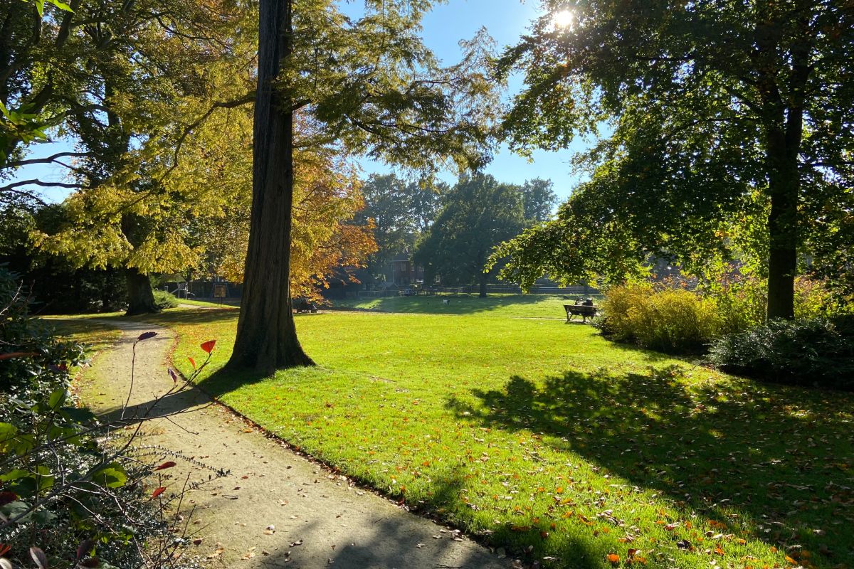 6 x hier in Zwolle maak je mooie herfstwandelingen