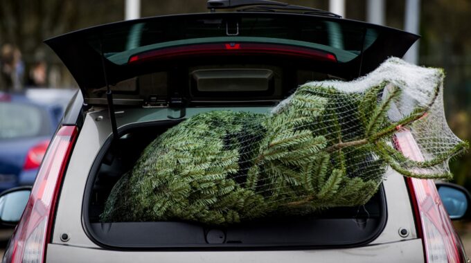 kerstboom