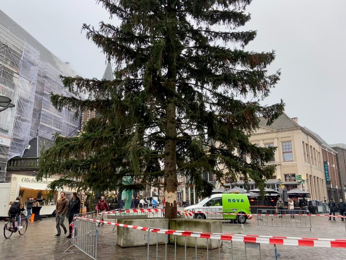 De grote kerstboom op de Grote Markt in Zwolle staat weer (en zo werd hij op zijn plek gezet