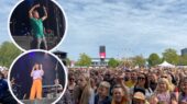 bevrijdingsfestival