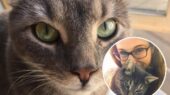 Kat Jax Zwolle