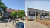bloemkoolwijk zwolle