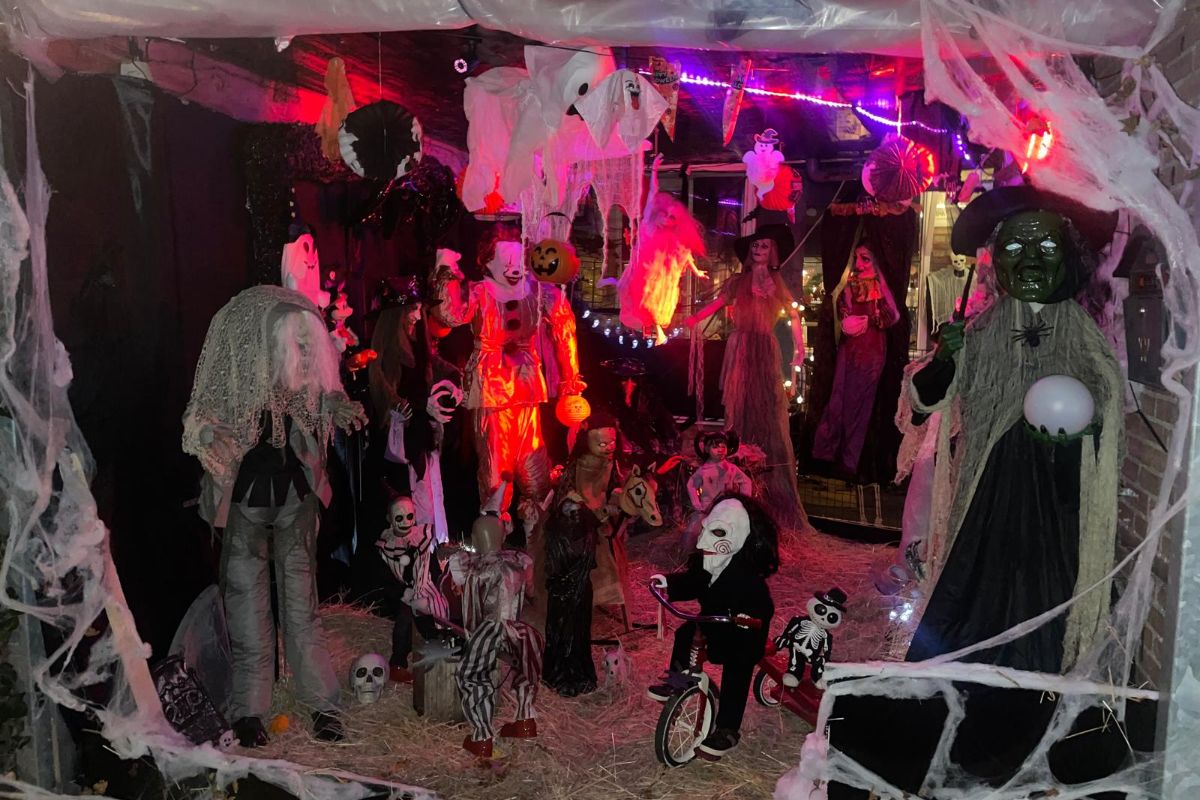 Pompoenen en spinnen: we zoeken de engste halloweenhuizen van Zwolle