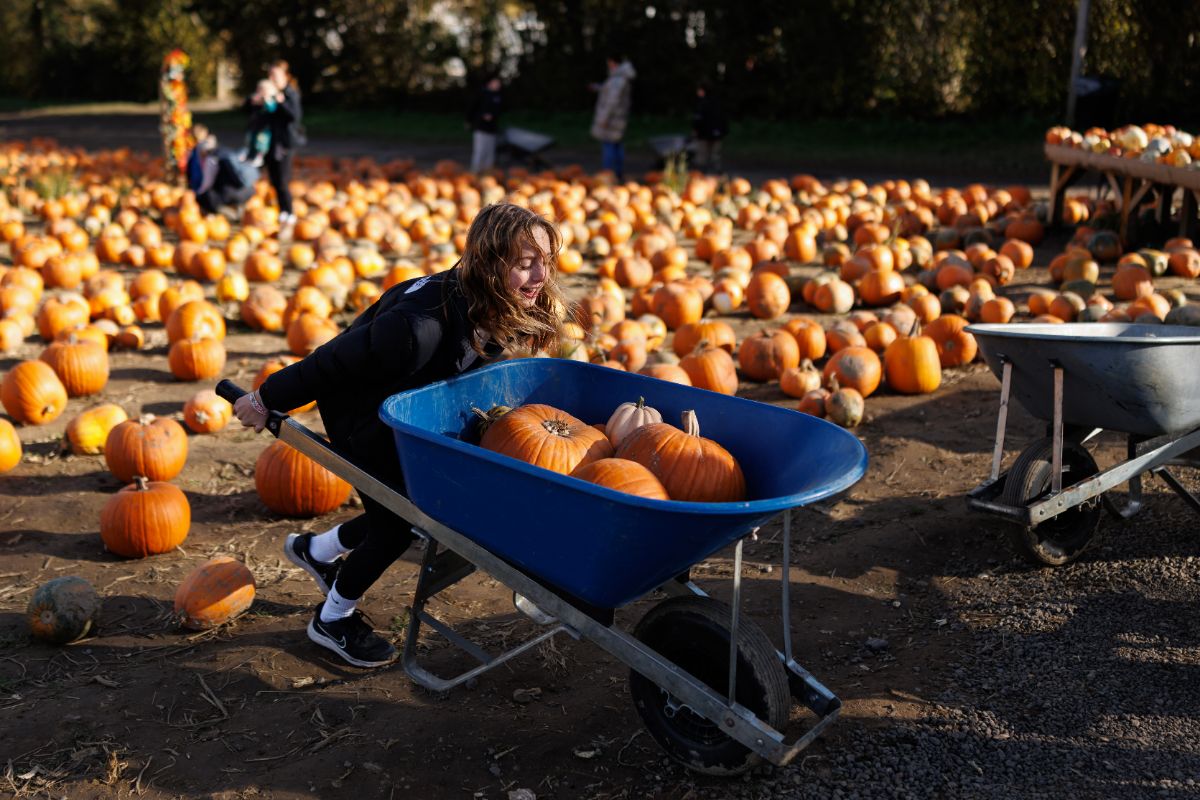 Halloweenwalk, gratis vrijmibo, fietslichtparade en meer: 9 x weekendtips in Zwolle