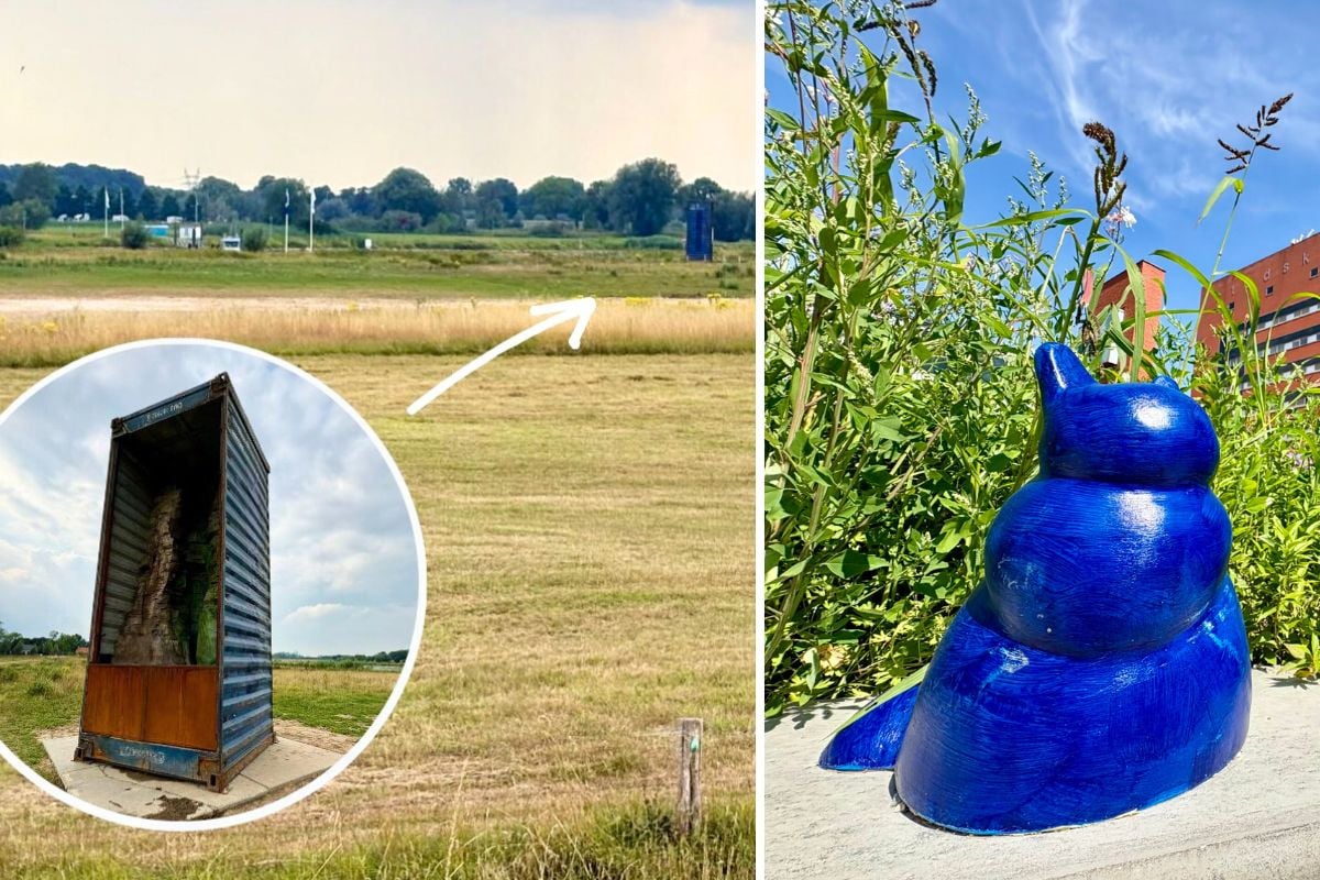 Van container langs de IJssel tot opvallende ‘katten’: 7 x de populairste Zwolse mysteries van 2025