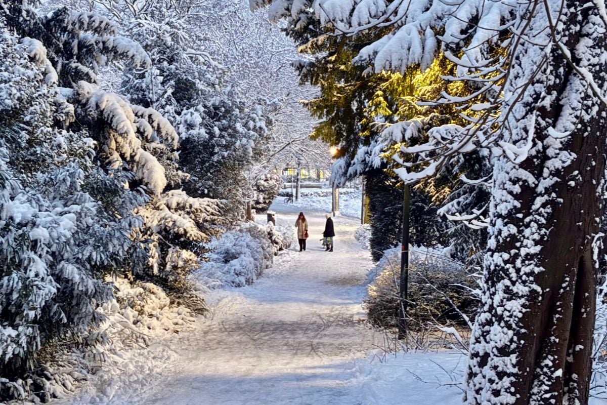 Sneeuwpret: 7 x bij deze plekken in Zwolle kun je goed sleeën